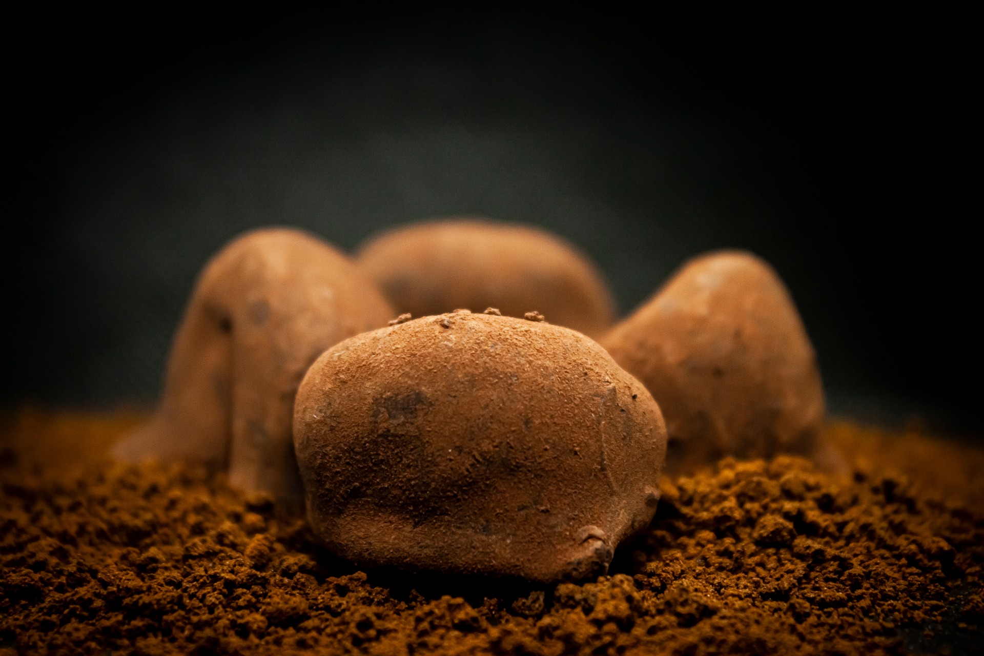Caramelo truffles by Dom José